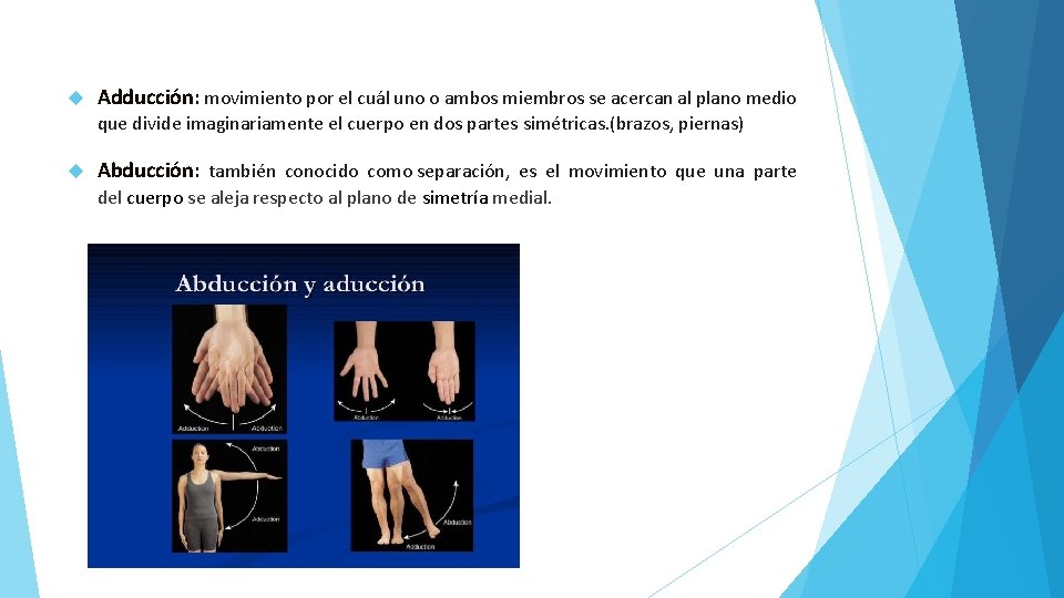  Adducción: movimiento por el cuál uno o ambos miembros se acercan al plano
