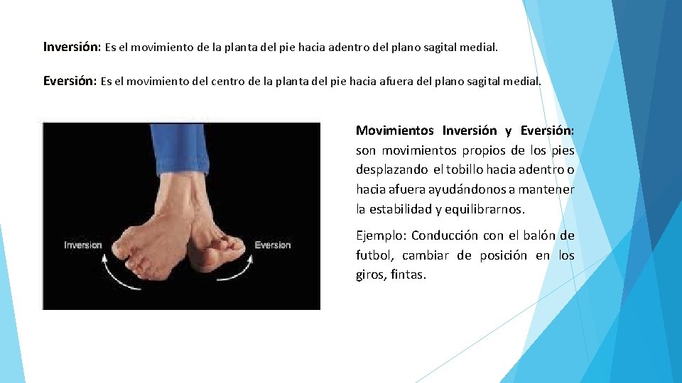 Inversión: Es el movimiento de la planta del pie hacia adentro del plano sagital