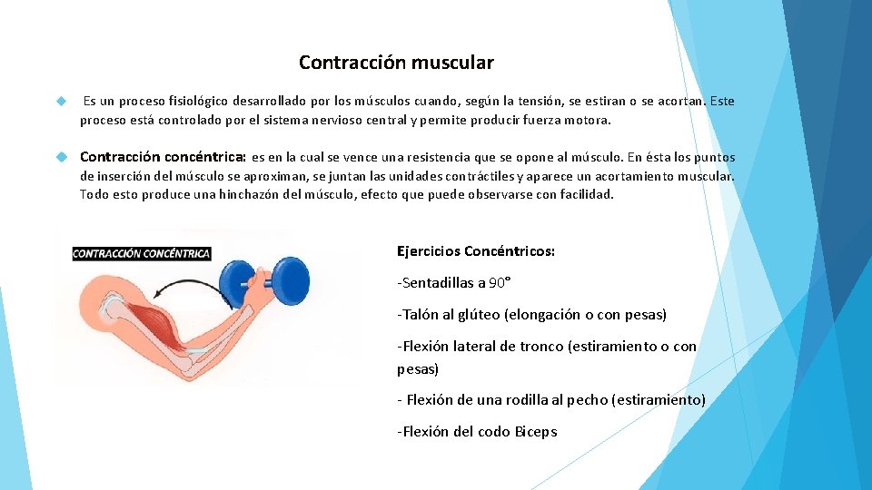Contracción muscular Es un proceso fisiológico desarrollado por los músculos cuando, según la tensión,