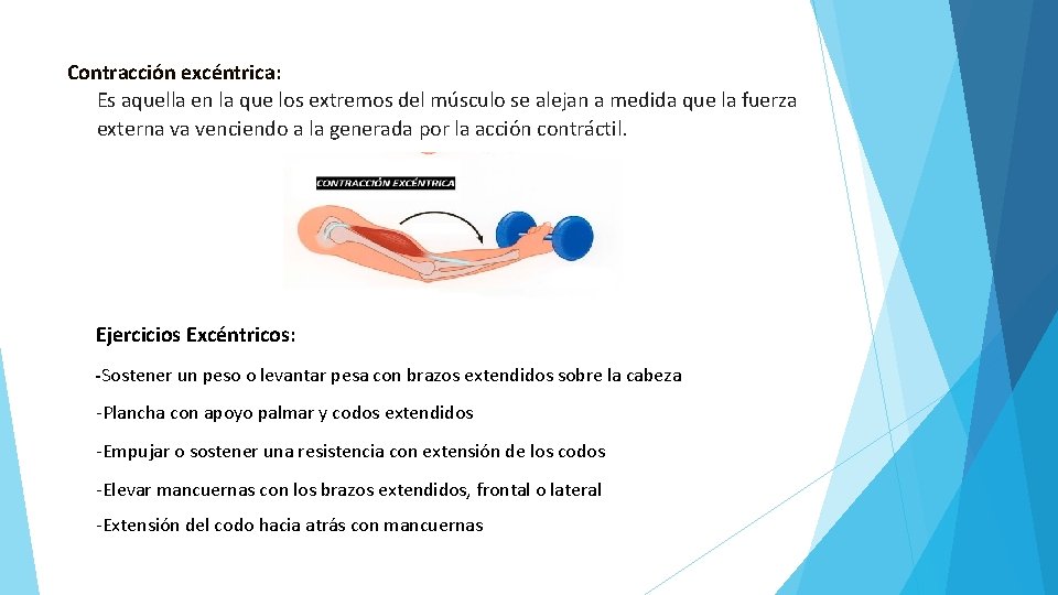 Contracción excéntrica: Es aquella en la que los extremos del músculo se alejan a