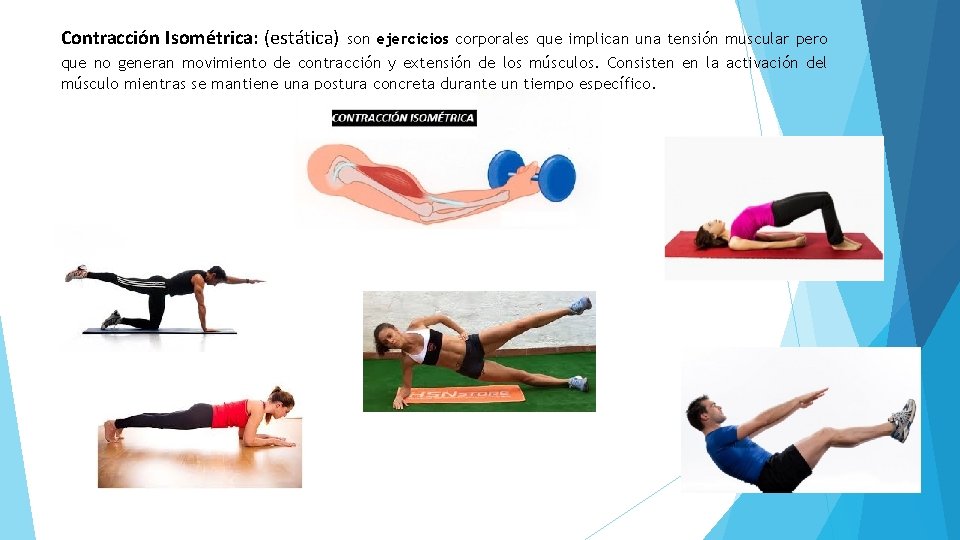Contracción Isométrica: (estática) son ejercicios corporales que implican una tensión muscular pero que no