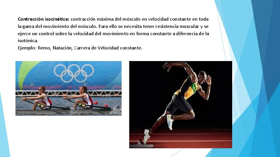 Contracción isocinética: contracción máxima del músculo en velocidad constante en toda la gama del