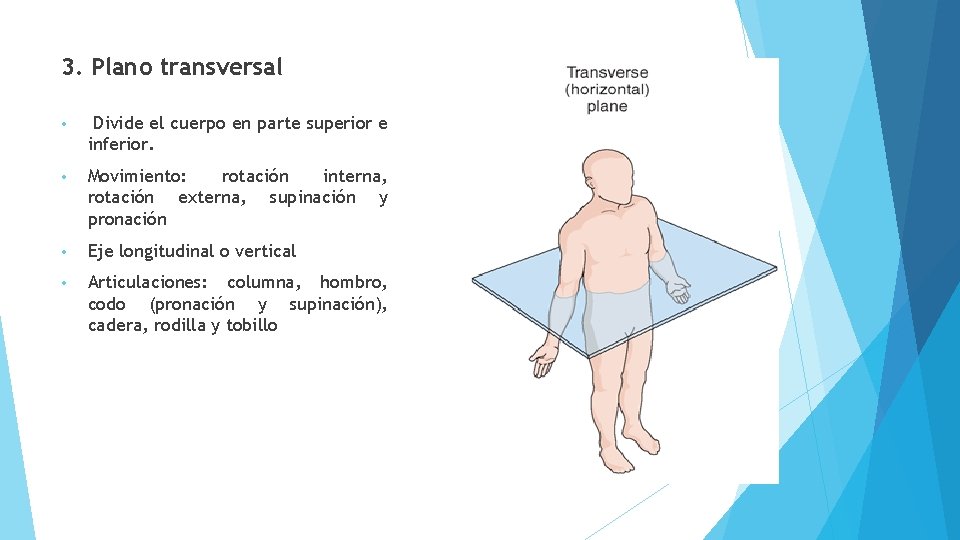 3. Plano transversal • Divide el cuerpo en parte superior e inferior. • Movimiento: