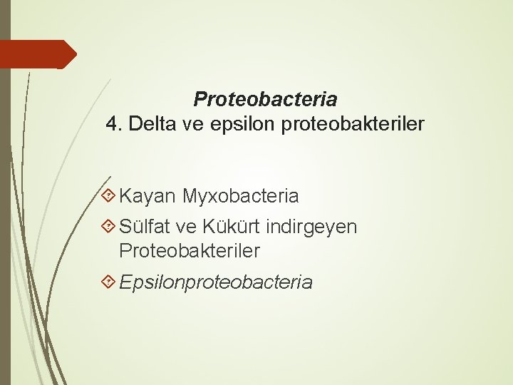 Proteobacteria 4. Delta ve epsilon proteobakteriler Kayan Myxobacteria Sülfat ve Kükürt indirgeyen Proteobakteriler Epsilonproteobacteria