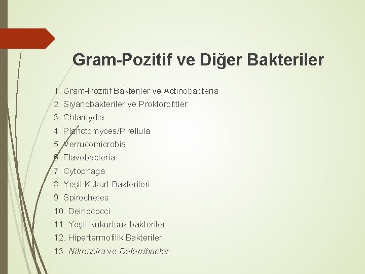 Gram-Pozitif ve Diğer Bakteriler 1. Gram-Pozitif Bakteriler ve Actinobacteria 2. Siyanobakteriler ve Proklorofitler 3.