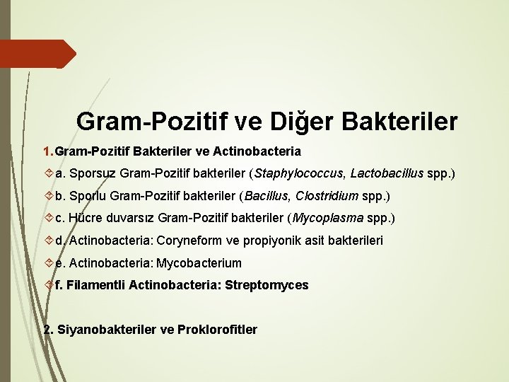 Gram-Pozitif ve Diğer Bakteriler 1. Gram-Pozitif Bakteriler ve Actinobacteria a. Sporsuz Gram-Pozitif bakteriler (Staphylococcus,