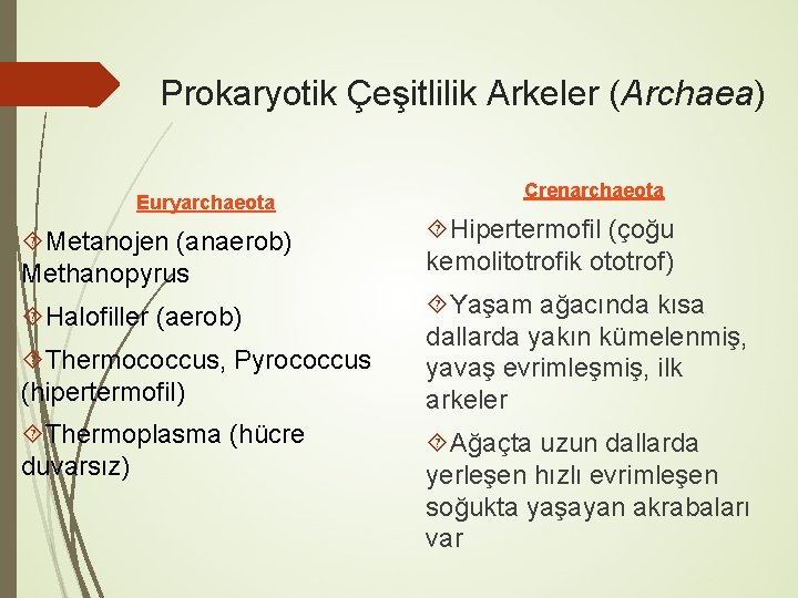 Prokaryotik Çeşitlilik Arkeler (Archaea) Euryarchaeota Crenarchaeota Metanojen (anaerob) Methanopyrus Hipertermofil (çoğu kemolitotrofik ototrof) Halofiller