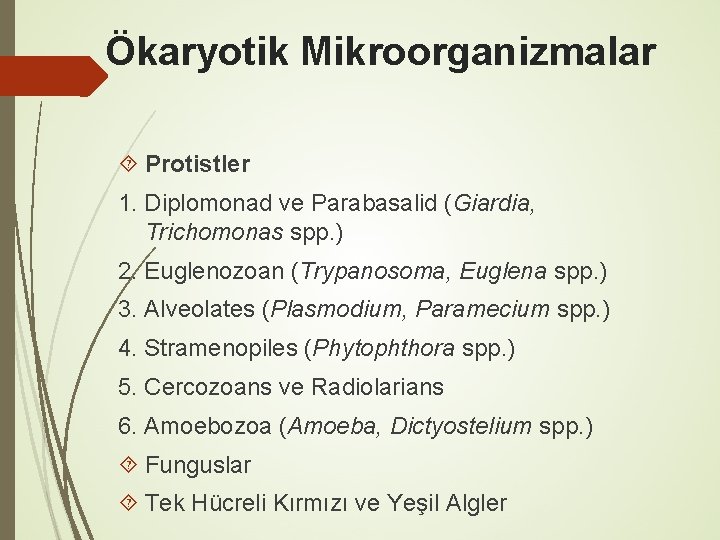 Ökaryotik Mikroorganizmalar Protistler 1. Diplomonad ve Parabasalid (Giardia, Trichomonas spp. ) 2. Euglenozoan (Trypanosoma,