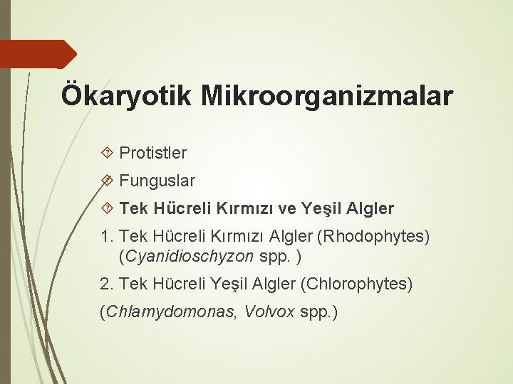 Ökaryotik Mikroorganizmalar Protistler Funguslar Tek Hücreli Kırmızı ve Yeşil Algler 1. Tek Hücreli Kırmızı