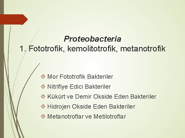 Proteobacteria 1. Fototrofik, kemolitotrofik, metanotrofik Mor Fototrofik Bakteriler Nitrifiye Edici Bakteriler Kükürt ve Demir