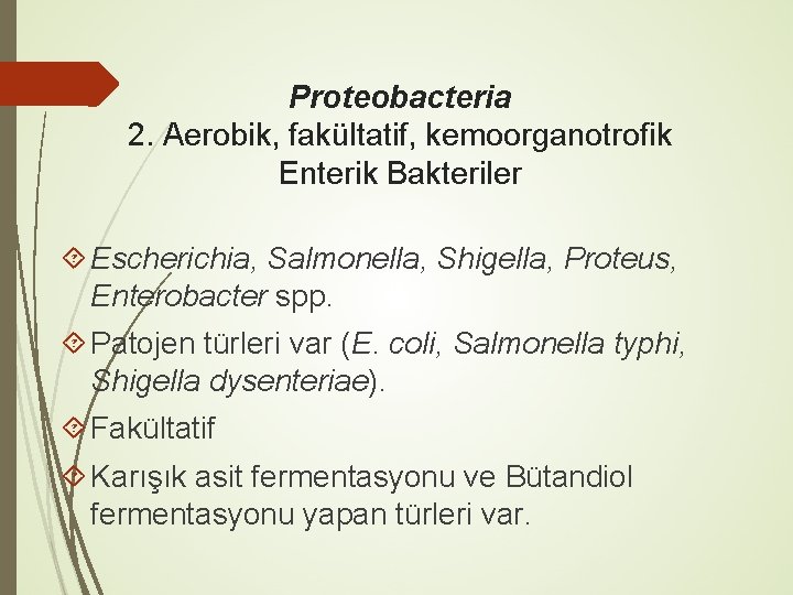 Proteobacteria 2. Aerobik, fakültatif, kemoorganotrofik Enterik Bakteriler Escherichia, Salmonella, Shigella, Proteus, Enterobacter spp. Patojen