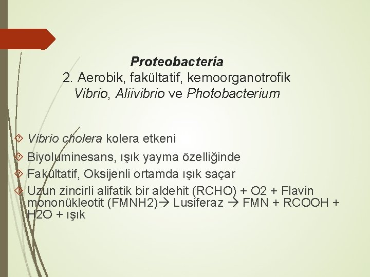 Proteobacteria 2. Aerobik, fakültatif, kemoorganotrofik Vibrio, Aliivibrio ve Photobacterium Vibrio cholera kolera etkeni Biyoluminesans,