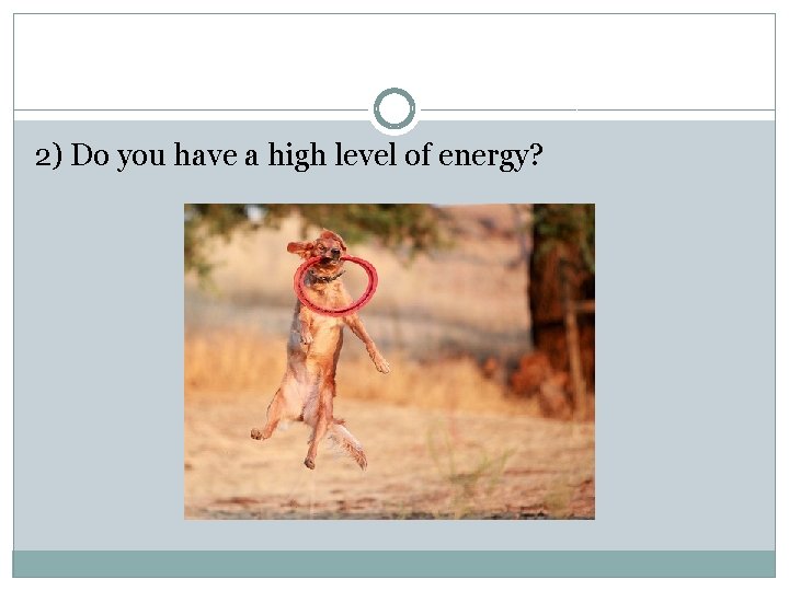 2) Do you have a high level of energy? 