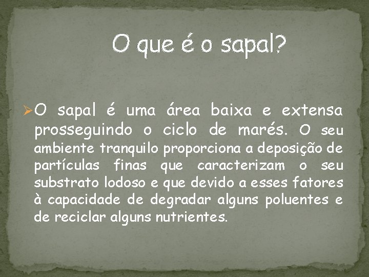 O que é o sapal? ØO sapal é uma área baixa e extensa prosseguindo