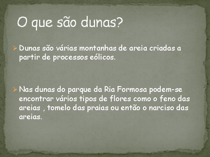 O que são dunas? Ø Dunas são várias montanhas de areia criadas a partir