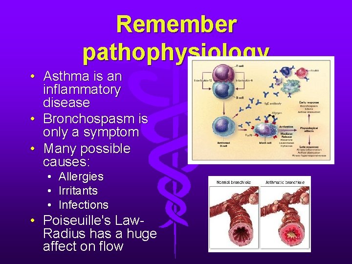 Remember pathophysiology • Asthma is an inflammatory disease • Bronchospasm is only a symptom Remember pathophysiology • Asthma is an inflammatory disease • Bronchospasm is only a symptom