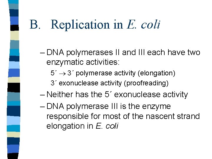 B. Replication in E. coli – DNA polymerases II and III each have two