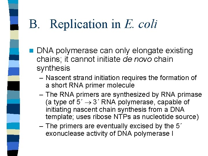 B. Replication in E. coli n DNA polymerase can only elongate existing chains; it