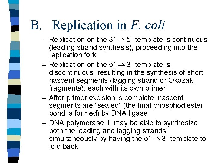 B. Replication in E. coli – Replication on the 3´ ® 5´ template is