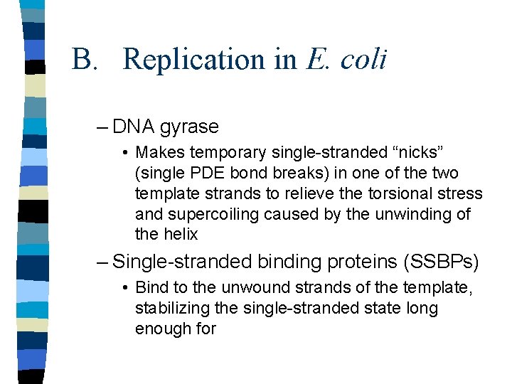 B. Replication in E. coli – DNA gyrase • Makes temporary single-stranded “nicks” (single