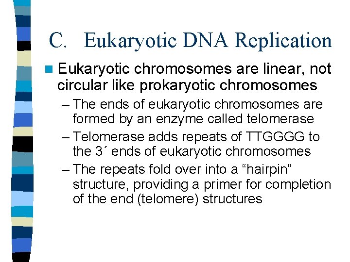 C. Eukaryotic DNA Replication n Eukaryotic chromosomes are linear, not circular like prokaryotic chromosomes