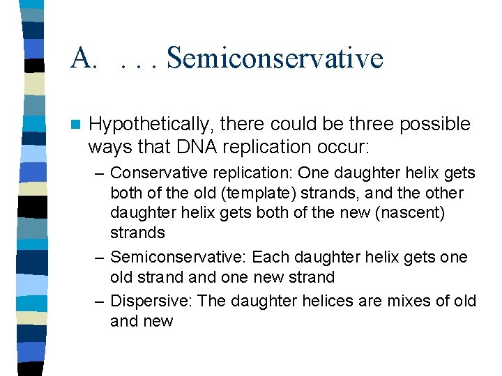 A. . Semiconservative n Hypothetically, there could be three possible ways that DNA replication