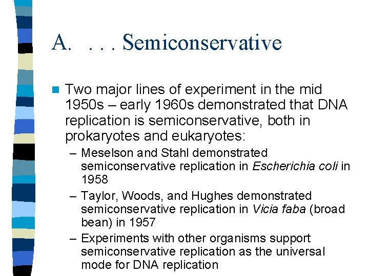 A. . Semiconservative n Two major lines of experiment in the mid 1950 s