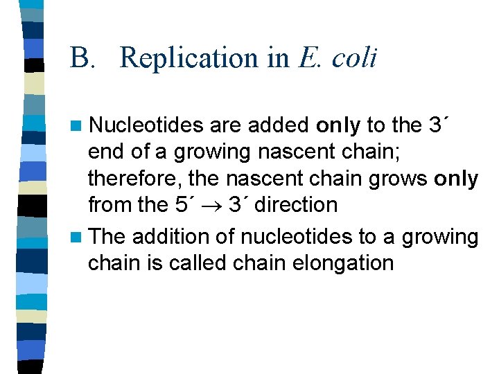 B. Replication in E. coli n Nucleotides are added only to the 3´ end