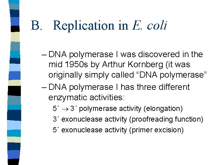 B. Replication in E. coli – DNA polymerase I was discovered in the mid
