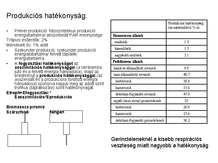 Produkciós hatékonyság (az asszimiláció %-a) • Primer produkció: fotoszintetikus produkció energiatartalma/ abszorbeált PAR mennyisége