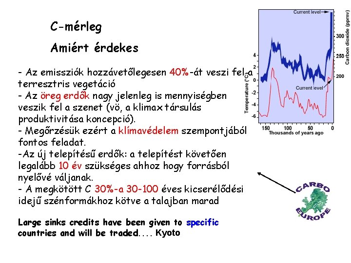 C-mérleg Amiért érdekes - Az emissziók hozzávetőlegesen 40%-át veszi fel a terresztris vegetáció -