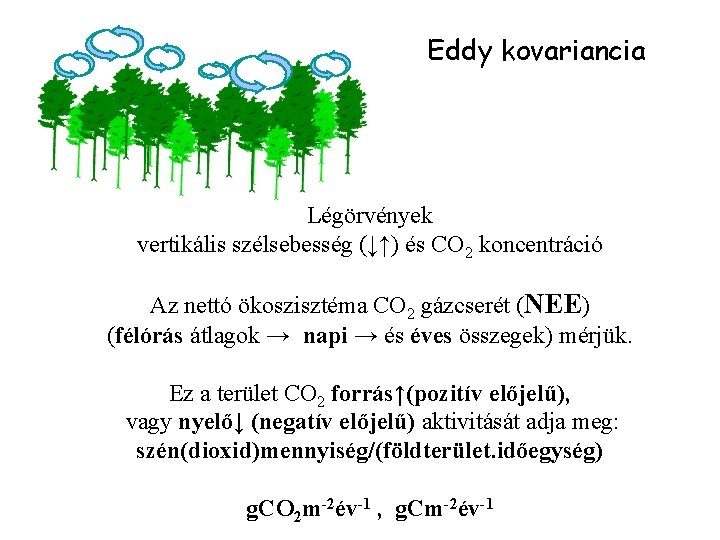 Eddy kovariancia Légörvények vertikális szélsebesség (↓↑) és CO 2 koncentráció Az nettó ökoszisztéma CO