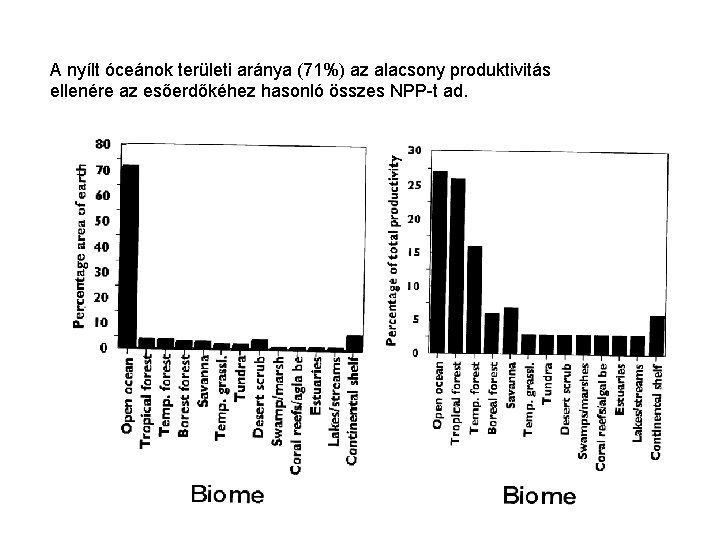 A nyílt óceánok területi aránya (71%) az alacsony produktivitás ellenére az esőerdőkéhez hasonló összes