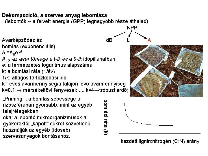 Dekompozíció, a szerves anyag lebomlása (lebontók -- a felvett energia (GPP) legnagyobb része áthalad)