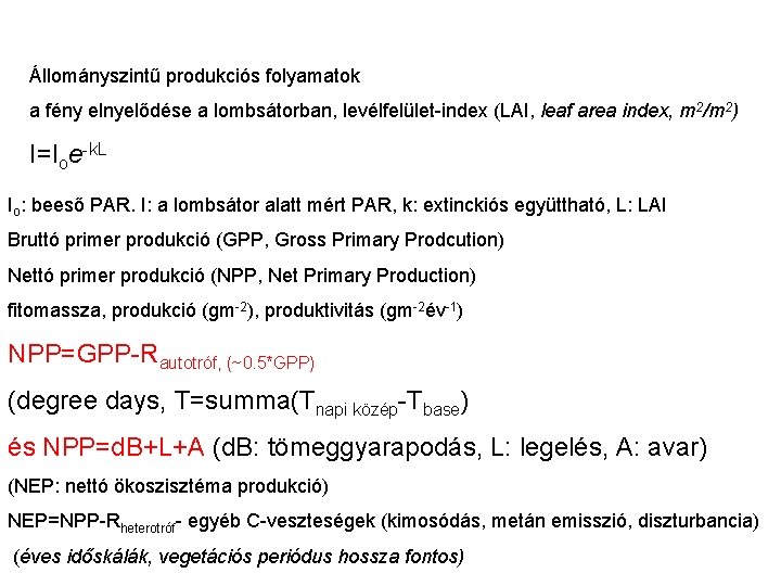 Állományszintű produkciós folyamatok a fény elnyelődése a lombsátorban, levélfelület-index (LAI, leaf area index, m