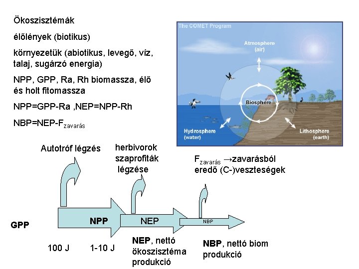 Ökoszisztémák élőlények (biotikus) környezetük (abiotikus, levegő, víz, talaj, sugárzó energia) NPP, GPP, Ra, Rh