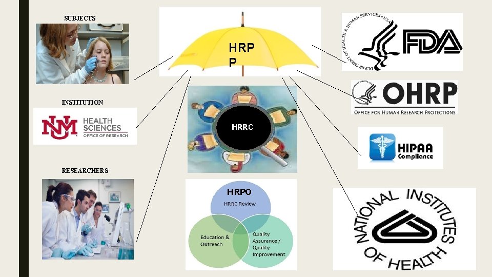 SUBJECTS HRP P INSTITUTION HRRC RESEARCHERS HRPO 
