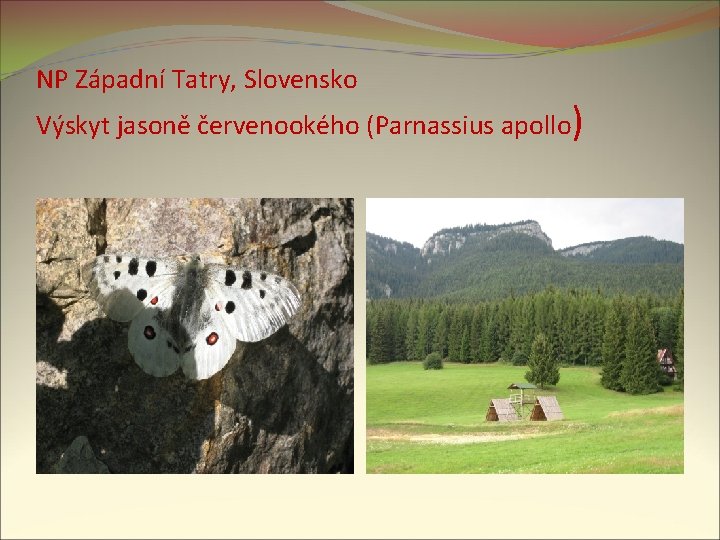 NP Západní Tatry, Slovensko Výskyt jasoně červenookého (Parnassius apollo) 