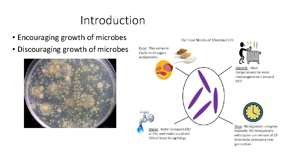 Introduction • Encouraging growth of microbes • Discouraging growth of microbes 