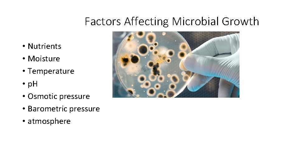 Factors Affecting Microbial Growth • Nutrients • Moisture • Temperature • p. H •