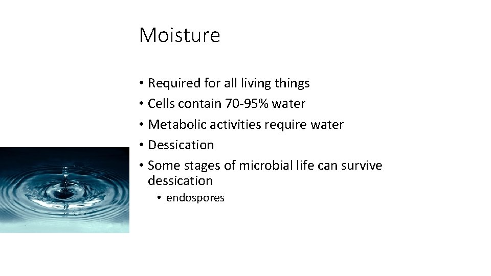 Moisture • Required for all living things • Cells contain 70 -95% water •