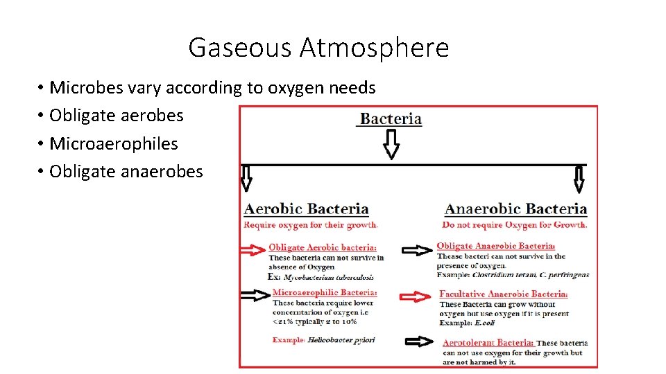 Gaseous Atmosphere • Microbes vary according to oxygen needs • Obligate aerobes • Microaerophiles