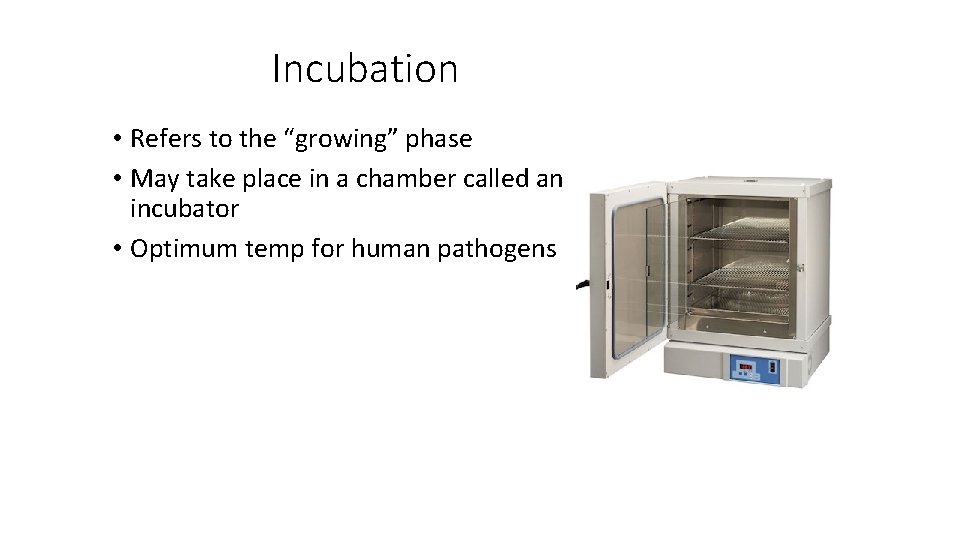 Incubation • Refers to the “growing” phase • May take place in a chamber