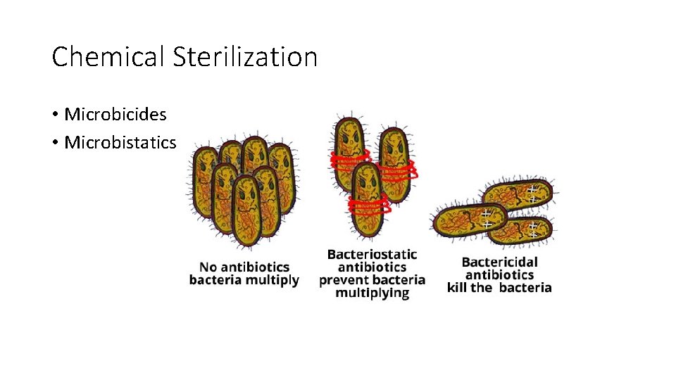 Chemical Sterilization • Microbicides • Microbistatics 