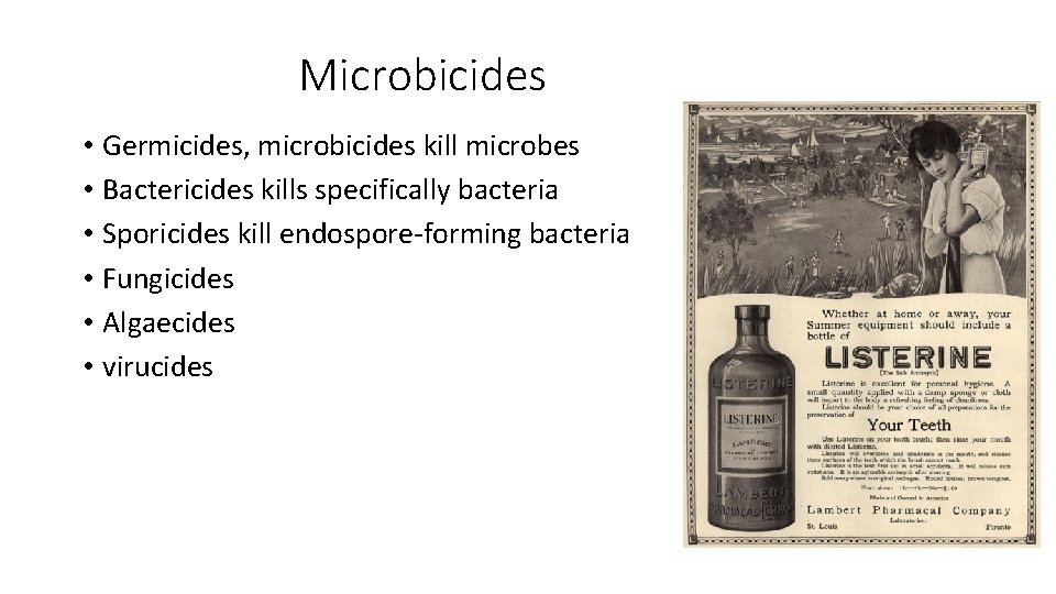 Microbicides • Germicides, microbicides kill microbes • Bactericides kills specifically bacteria • Sporicides kill