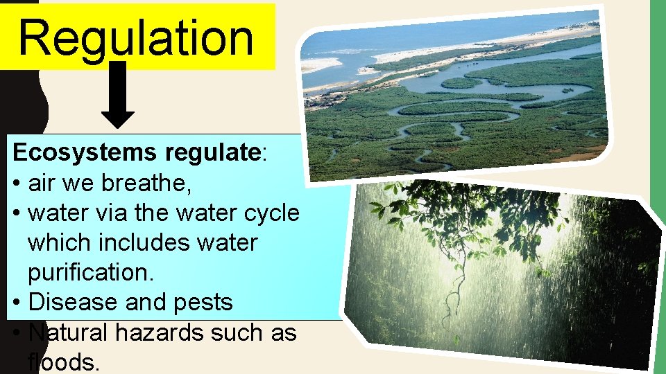 Regulation Ecosystems regulate: • air we breathe, • water via the water cycle which