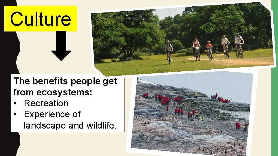 Culture The benefits people get from ecosystems: • Recreation • Experience of landscape and