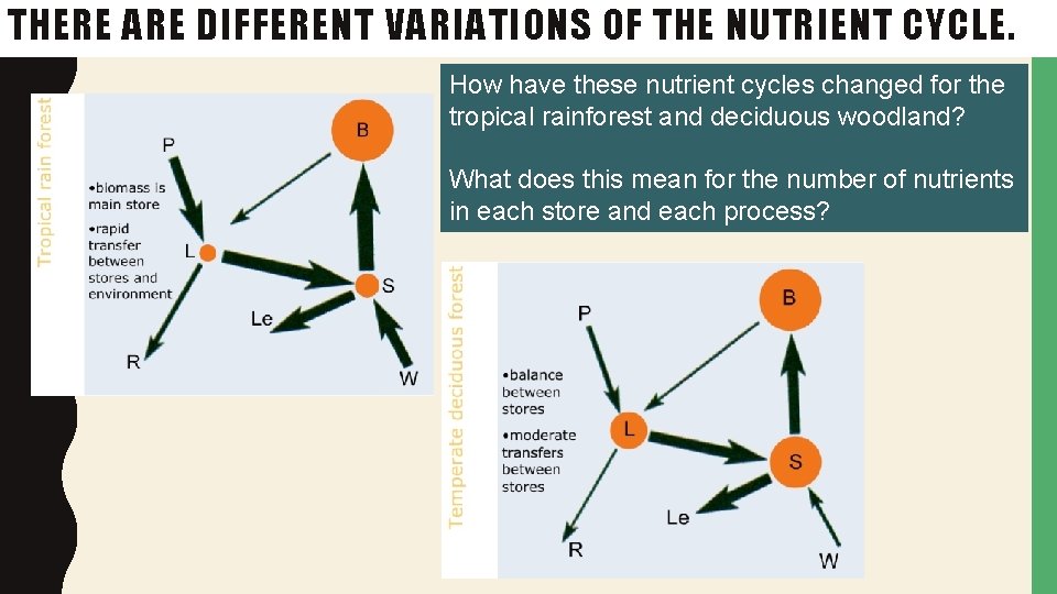 THERE ARE DIFFERENT VARIATIONS OF THE NUTRIENT CYCLE. How have these nutrient cycles changed
