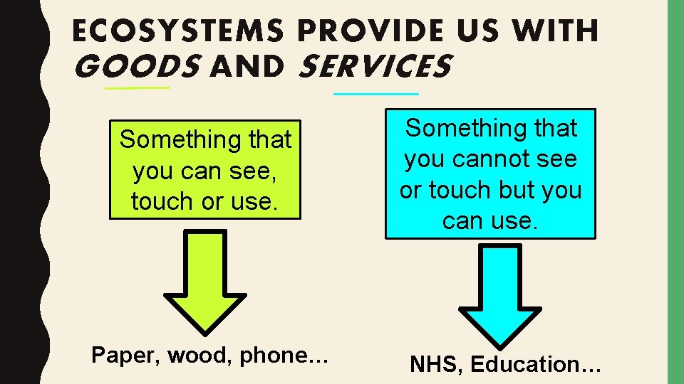 ECOSYSTEMS PROVIDE US WITH GOODS AND SERVICES Something that you can see, touch or