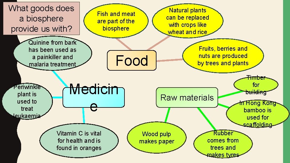 What goods does a biosphere provide us with? Quinine from bark has been used